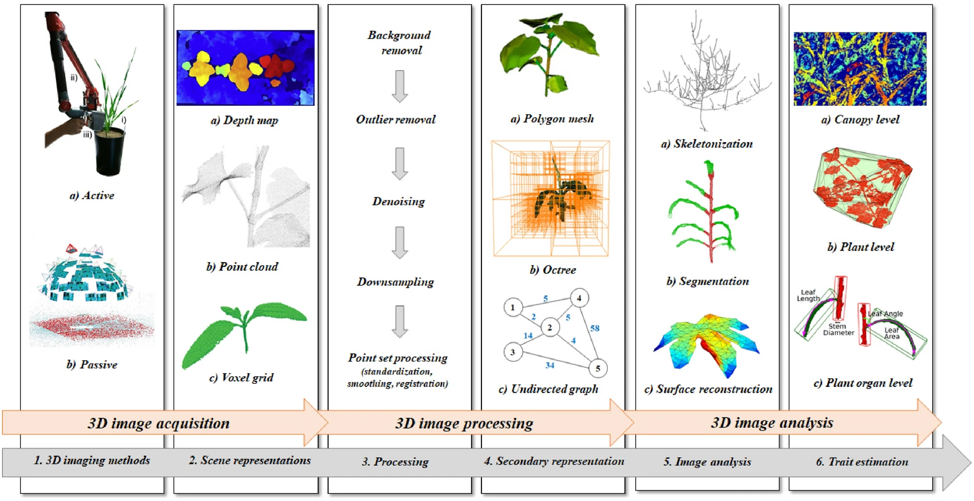 3D Phenotyping