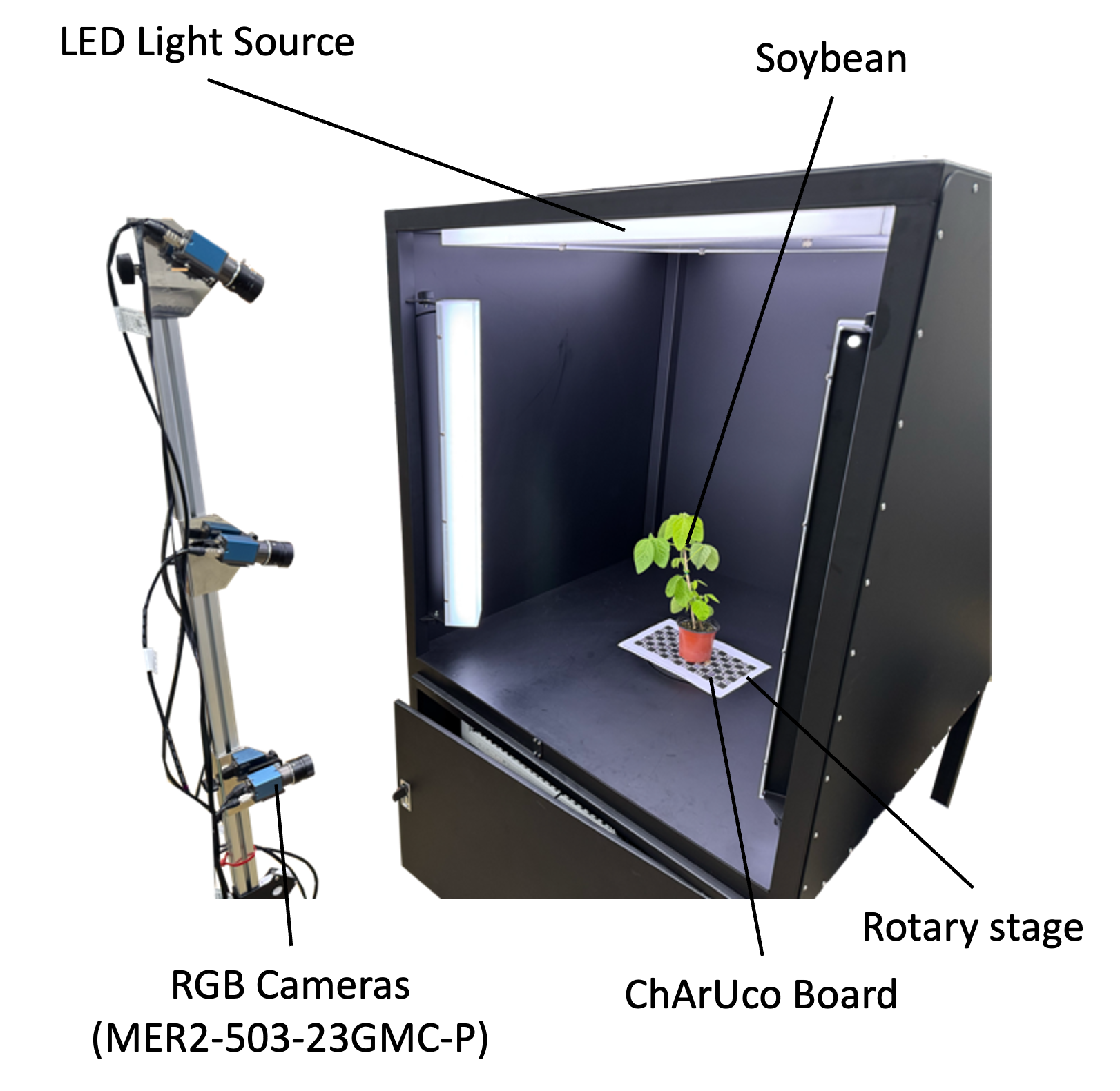 Our 3D imaging setup